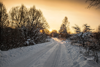Winter road / ***