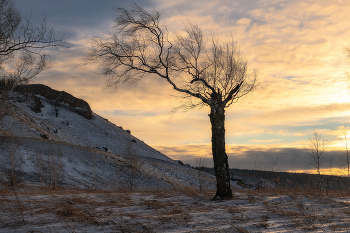 at sunset / ***