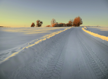 The Way Home / ***