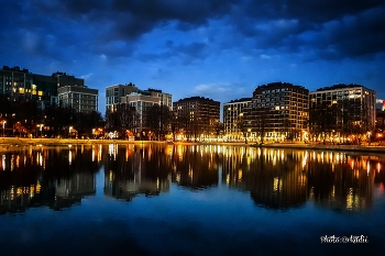 Landscape / ***