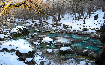 Forest River / ***