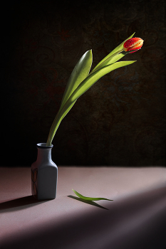 Alone / ***