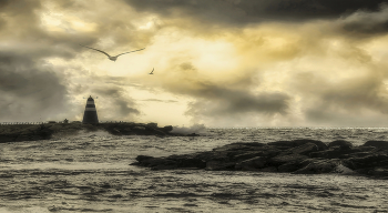 Lighthouse / ***