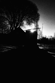 Life around / ***