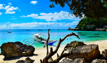 Paradise / ***