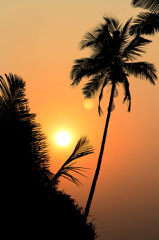 Sunset / ***
