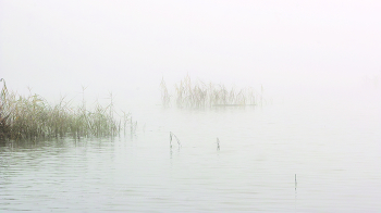 Autumn mists / ***