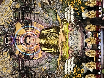 &nbsp; / ***