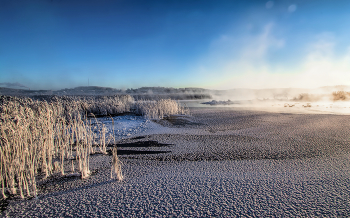 Morning frost / ***