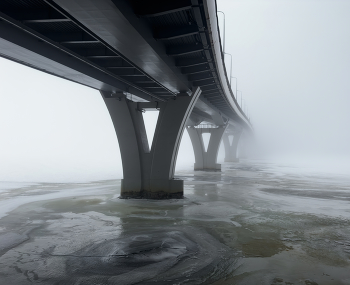 Bridges / ***