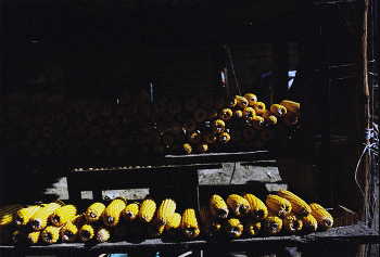 0014 / Film