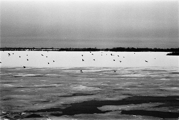 Thaw / ***