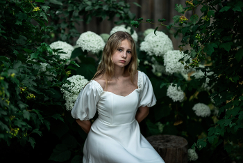 Zlata / ***