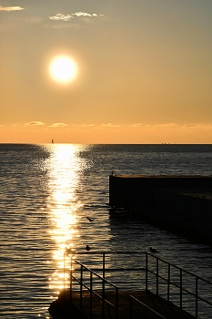 Black Sea / ***