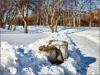and even a tree stump on a spring day ... / ***