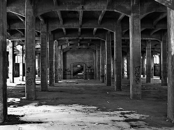Web. / ***