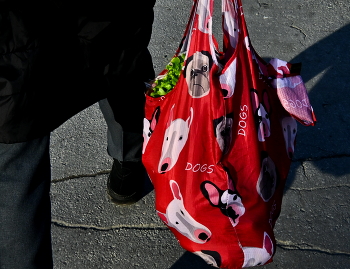 the dog. / ***