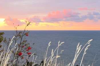 Pink clouds / ***