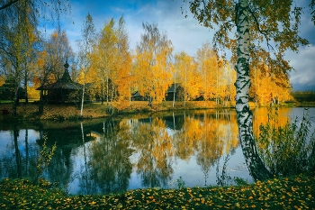 reflection of autumn / ***