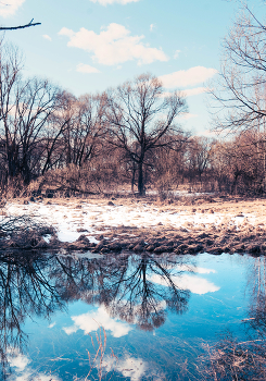 spring came / ***