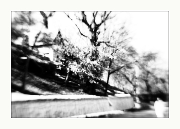 Spring coming / ***