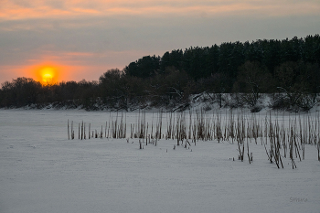 Winter dawn. / ***