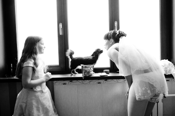 Morning Bride / ***