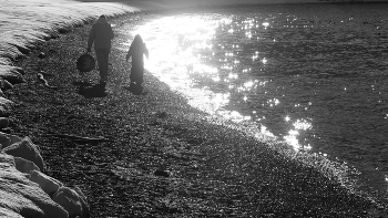 Shine. / ***