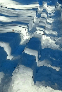 spring came / ***