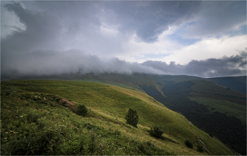 Caucasus / ***