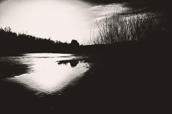 Life around / ***