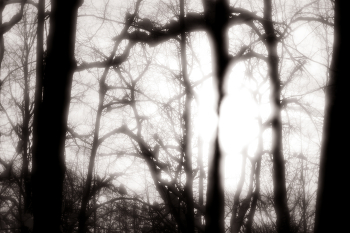 Dusk / ***