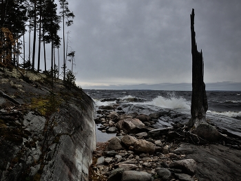On the shore. / ***