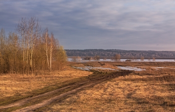 Spring theme / ***