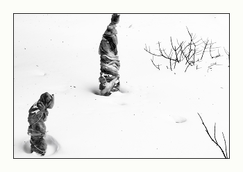 Anabiosis / ***