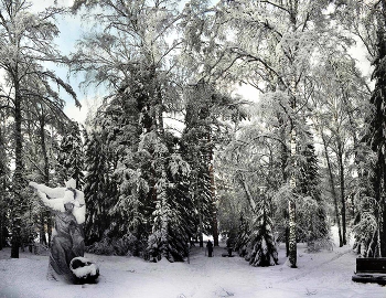 In the park in winter / ***