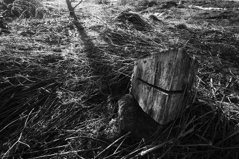 Life around / ***