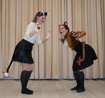 meow / ***