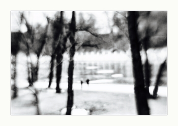 Shards of winter / ***