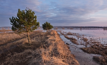 April evening / ***