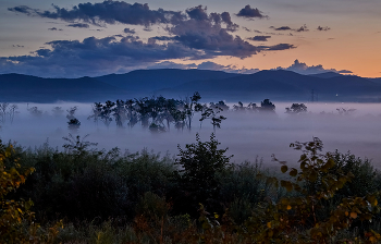Blue mist / ***