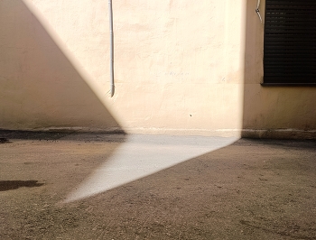 &nbsp; / ***