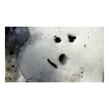 &nbsp; / ***