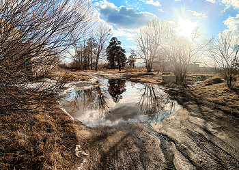 Spring / ***