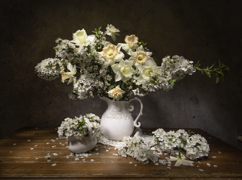 Tenderness of spring / ***