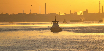 Industry / ***