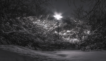 Lantern. / ***