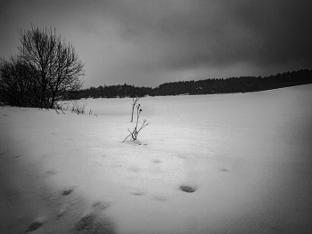 Footprints / ***