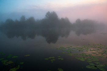 Fog / ***