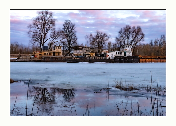 Pink Evening / ***
